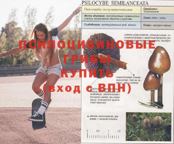 кокс Балахна