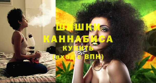 ГАЛЛЮЦИНОГЕННЫЕ ГРИБЫ Баксан