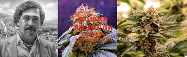 ГАЛЛЮЦИНОГЕННЫЕ ГРИБЫ Баксан
