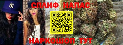 гашик Изобильный