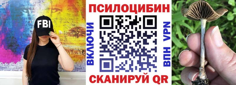 mega ONION  дарнет шоп  Губаха  Галлюциногенные грибы мицелий 