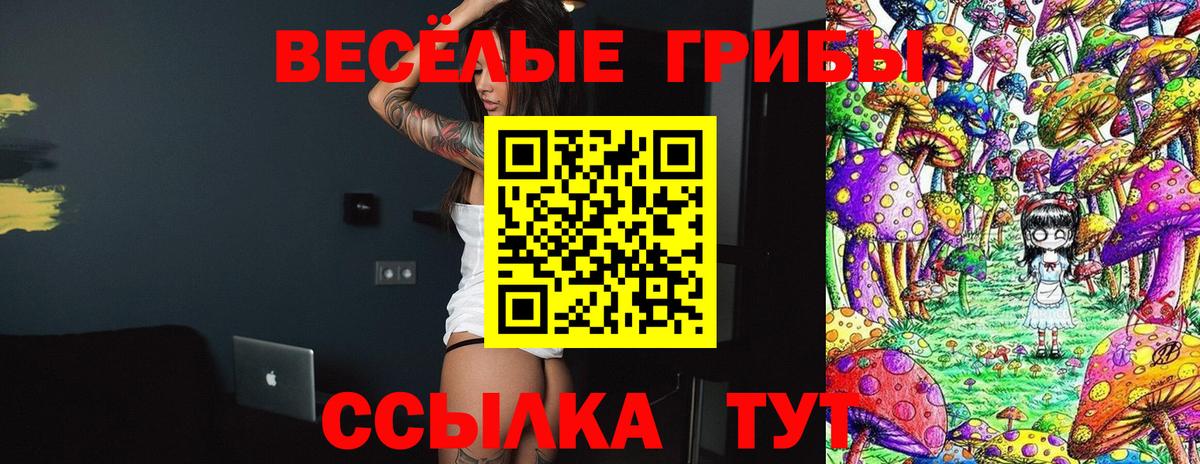 Галлюциногенные грибы MAGIC MUSHROOMS  Псилоцибиновые грибы Psilocybine cubensis  Губаха  Вход с VPN 